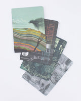 Carnets de poche histoire naturelle, lot de 4