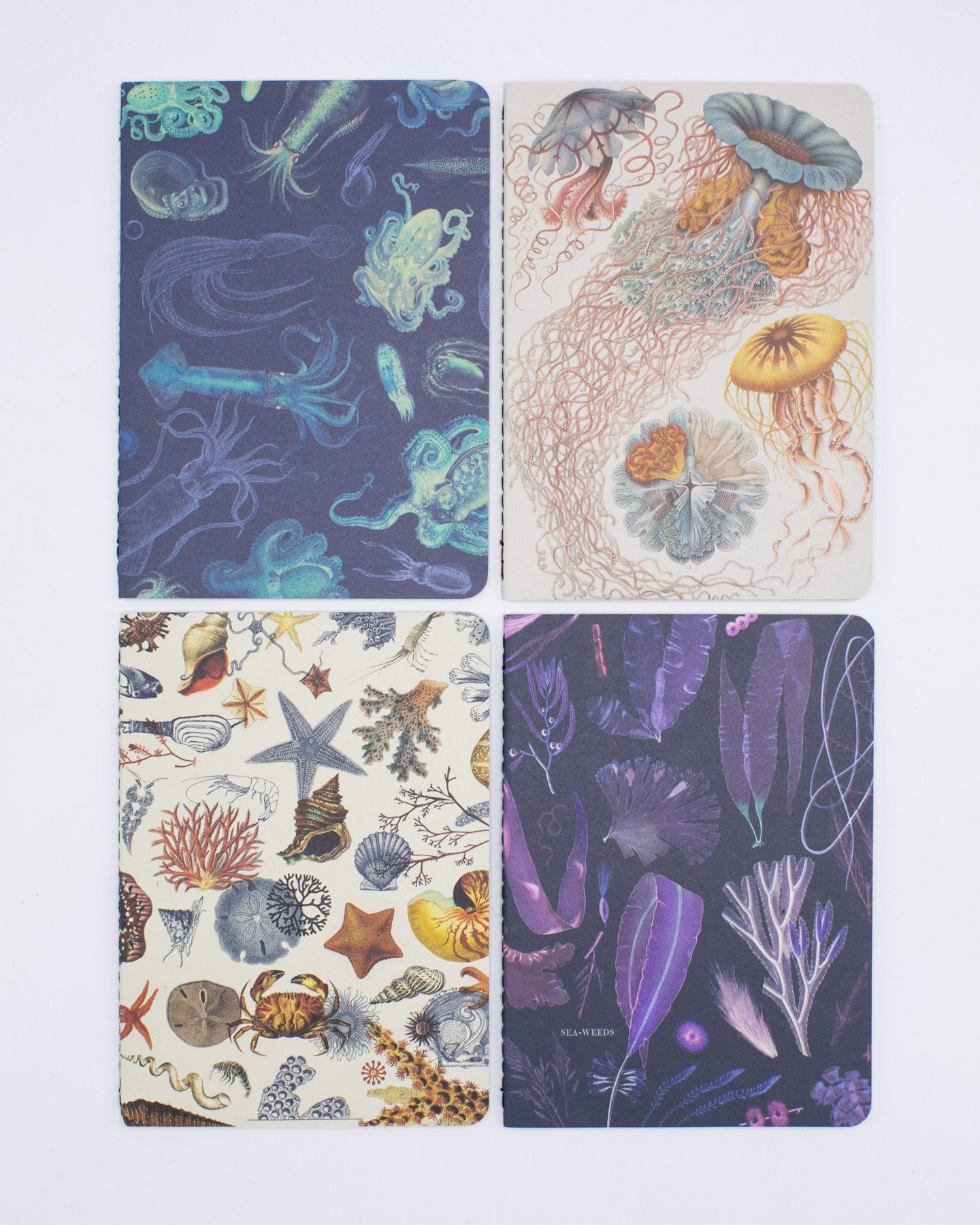 Ocean Pocket Notebook 4-pack