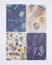 Ocean Pocket Notebook 4-pack