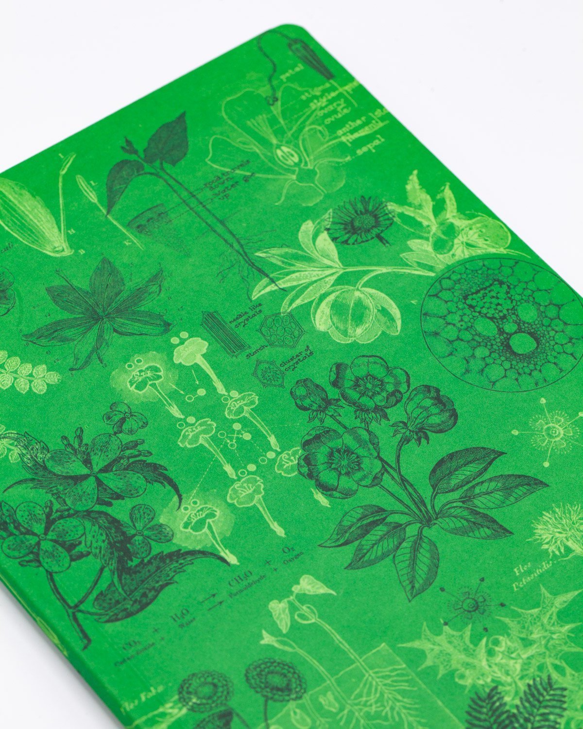 Botany Softcover - Dot Grid - Cognitive Surplus