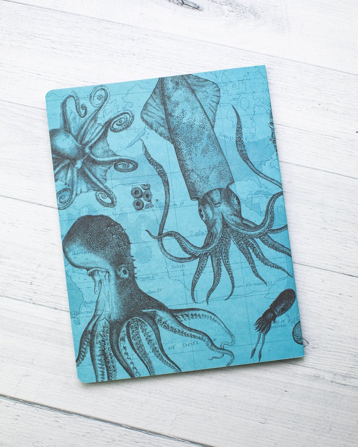 Octopus & Squid Softcover - Lined