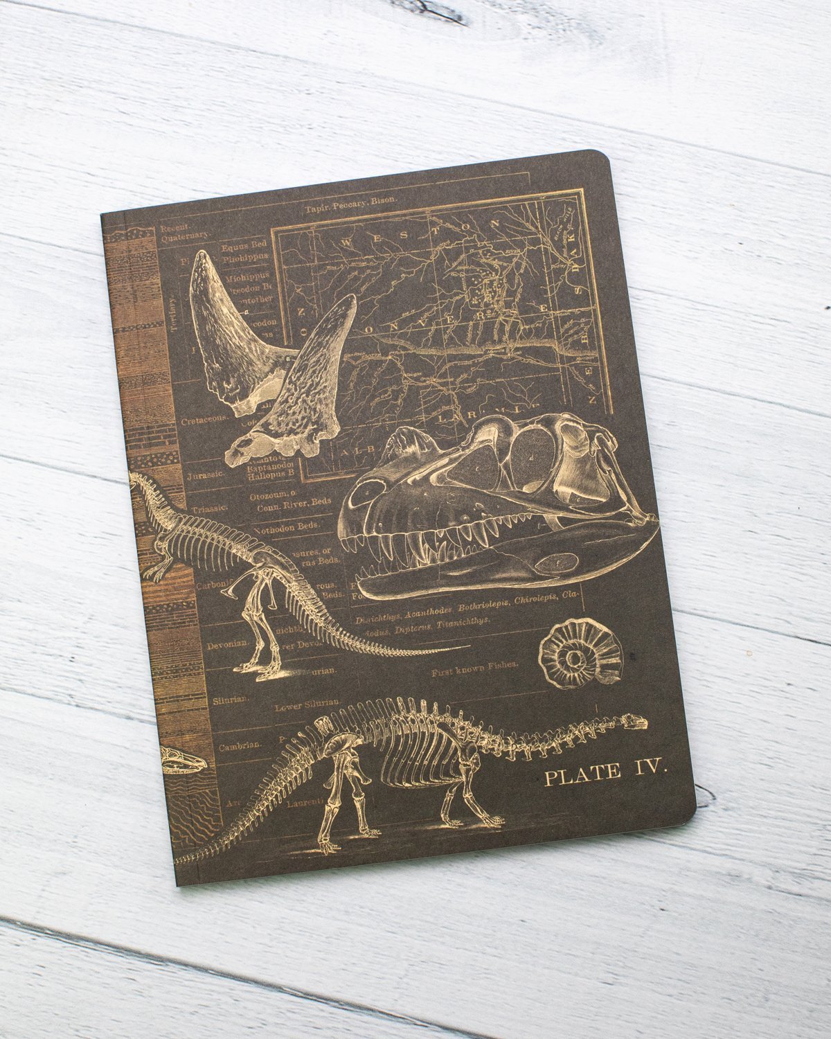 Dinosaur Softcover - Dot Grid - Cognitive Surplus