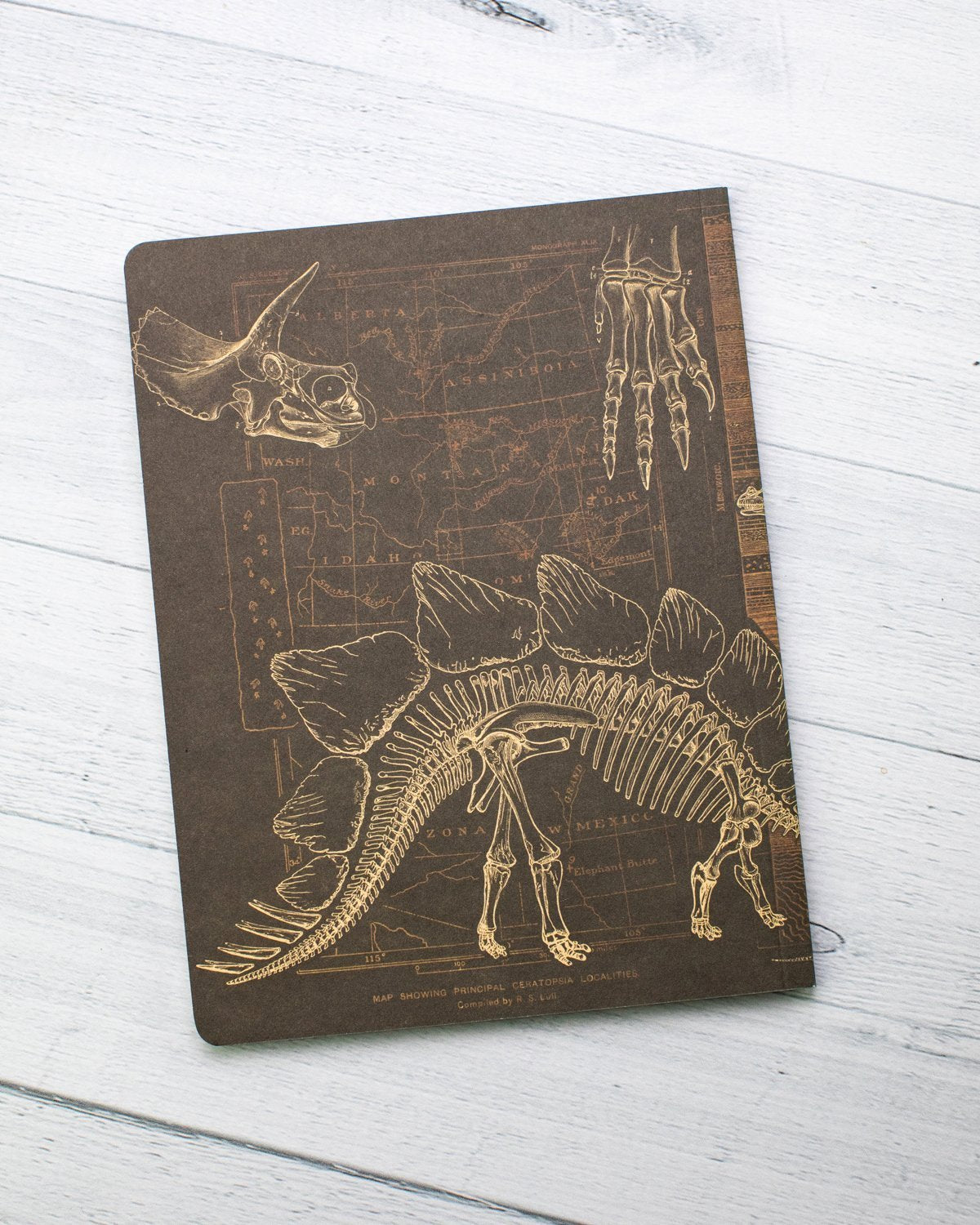 Dinosaur Softcover - Dot Grid - Cognitive Surplus