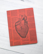 Anatomical Heart Softcover - Lined - Cognitive Surplus