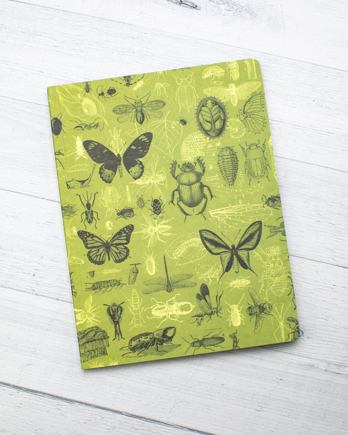 Insects Butterflies & Beetles Softcover - Lined