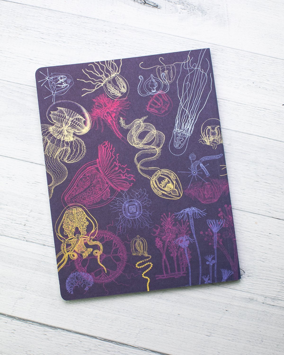 Jellyfish Softcover - Lined