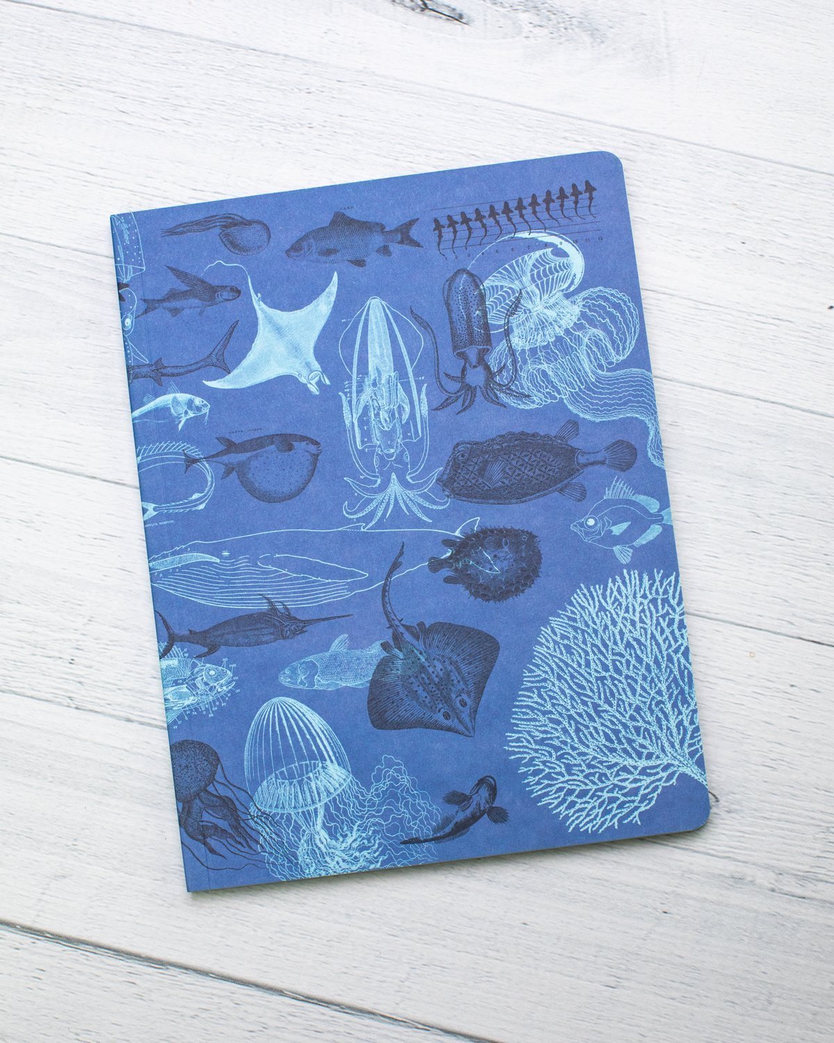 Marine Animals Softcover - Lined