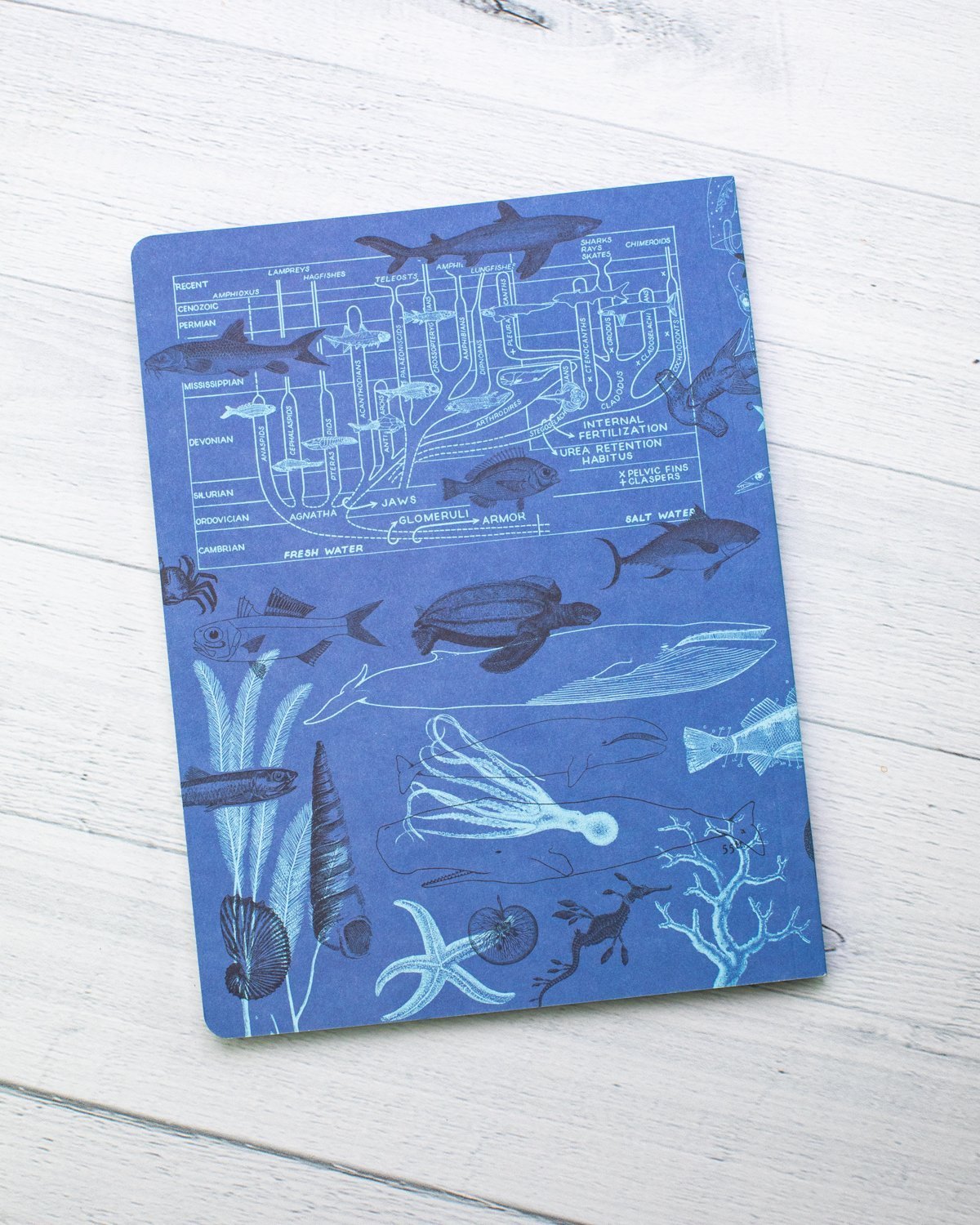 Marine Animals Softcover - Lined