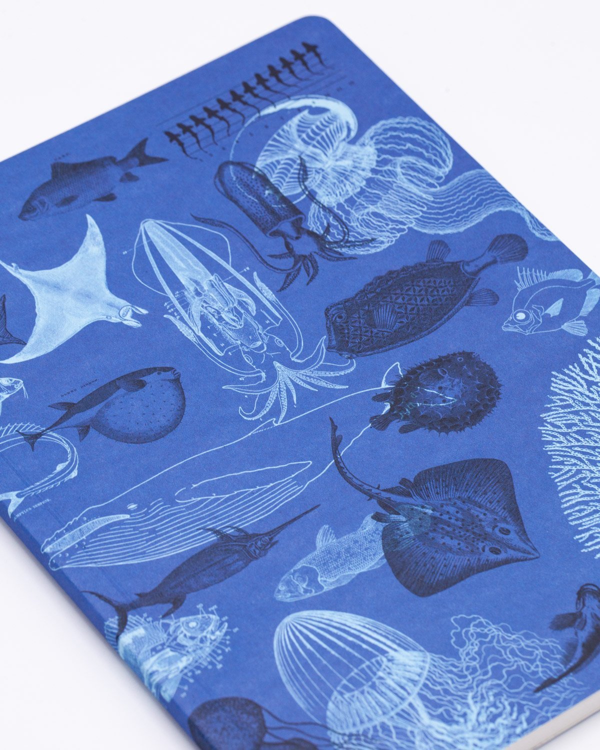 Marine Animals Softcover - Lined