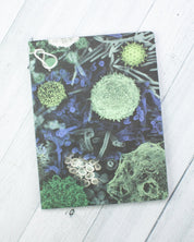 Infectious Disease Softcover - Lined