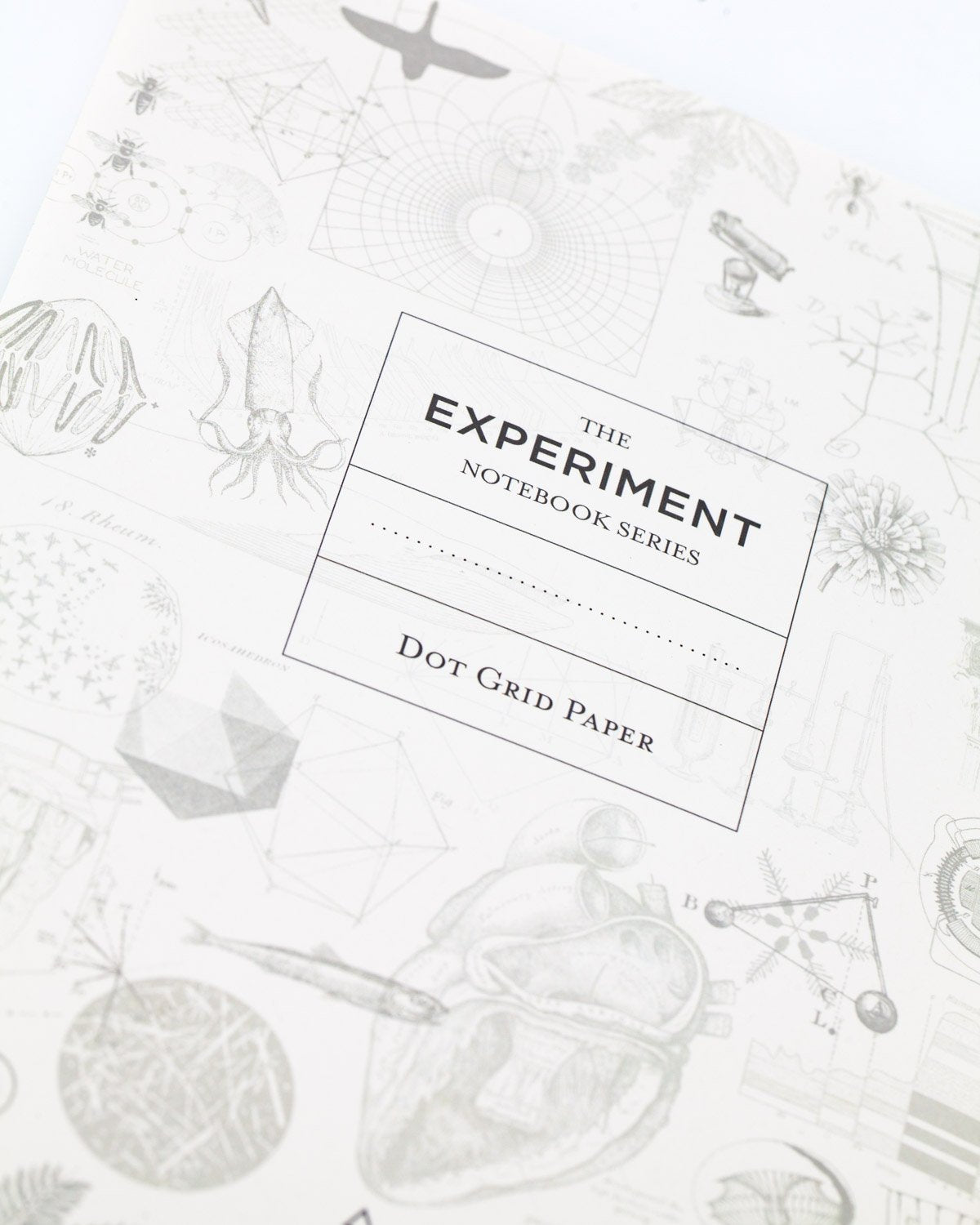 Dinosaur Softcover - Dot Grid - Cognitive Surplus