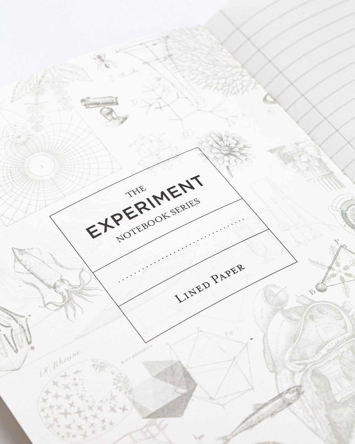 Bicycle Science Softcover - Lined - Cognitive Surplus
