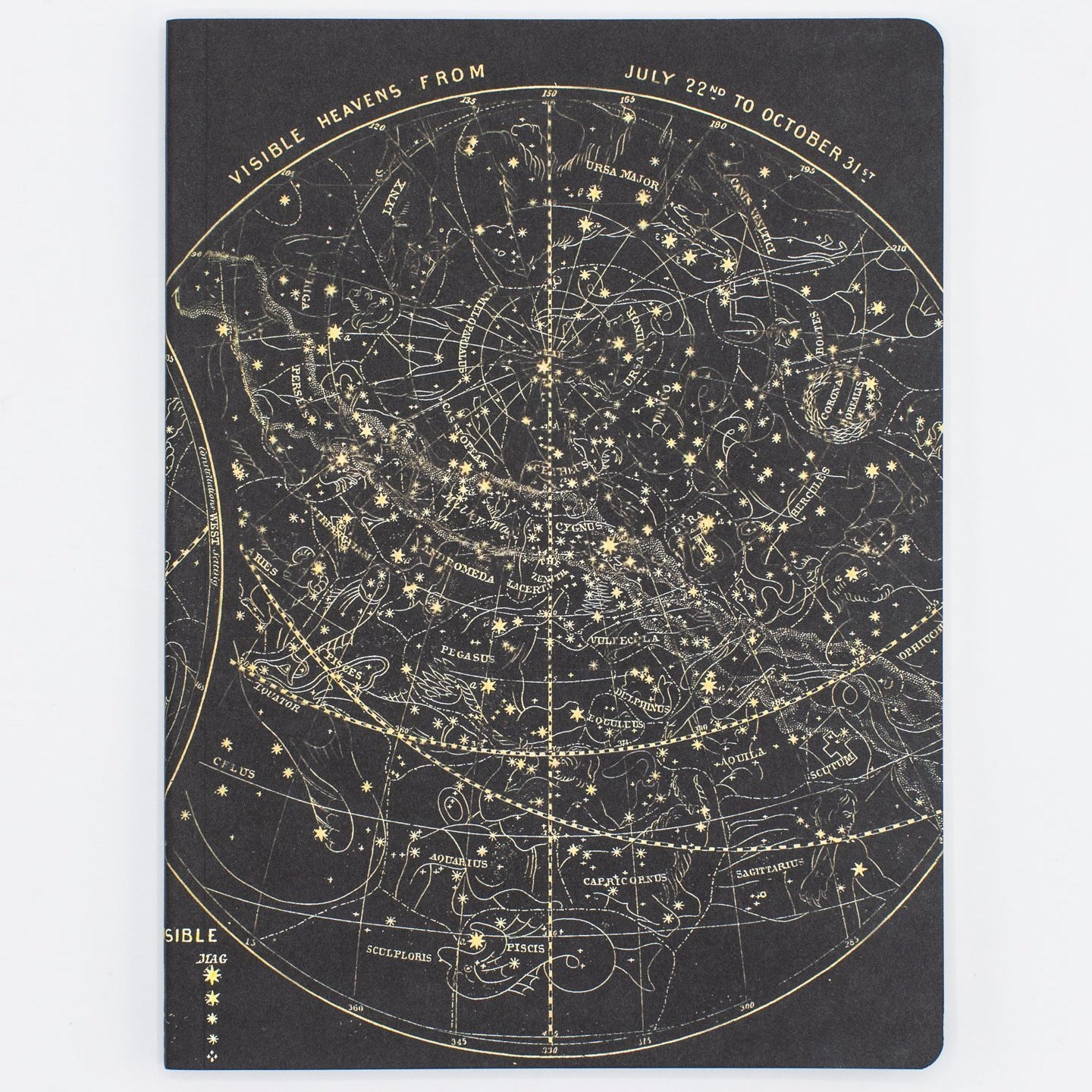 ScAstro_1_06c8b9e7-fb0e-4bdd-aa97-5efbc48c9c48.jpg