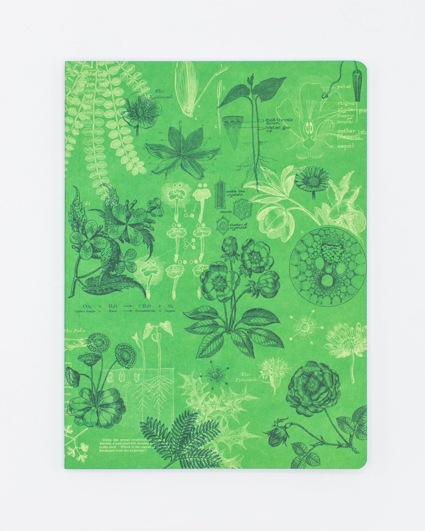 Botany Softcover - Dot Grid