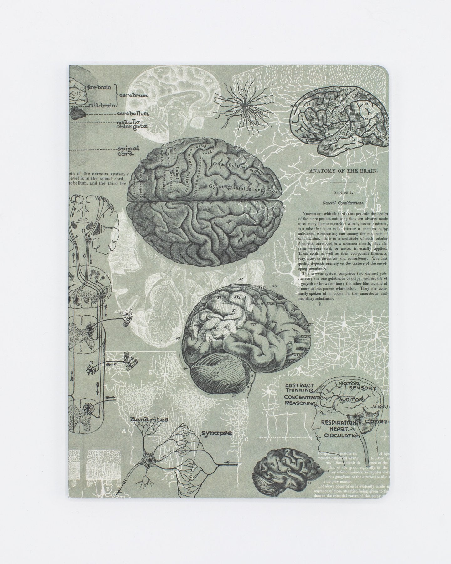 Brain Softcover - Dot Grid
