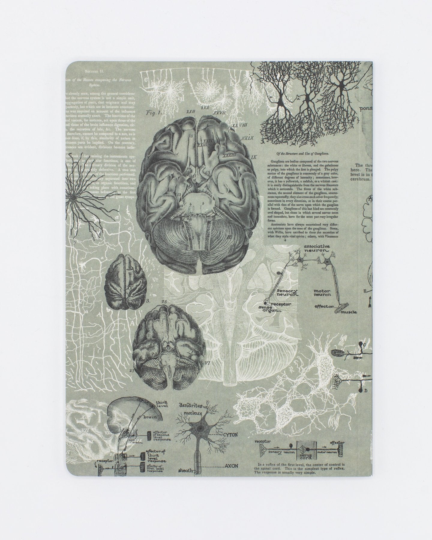 Brain Softcover - Dot Grid