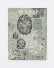 Brain Softcover - Dot Grid