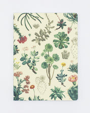 Succulents Softcover - Lined