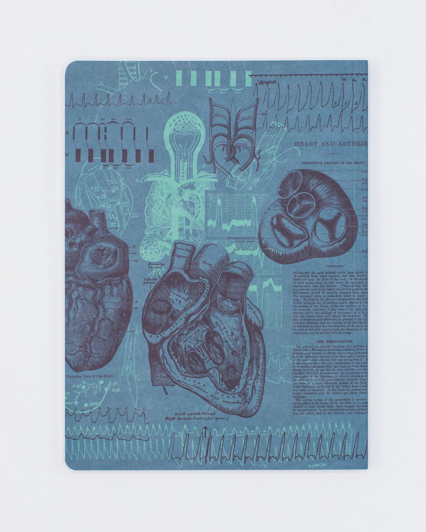 Cardiology Softcover - Dot Grid
