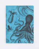 Poulpe & Calmar Couverture souple - Ligné