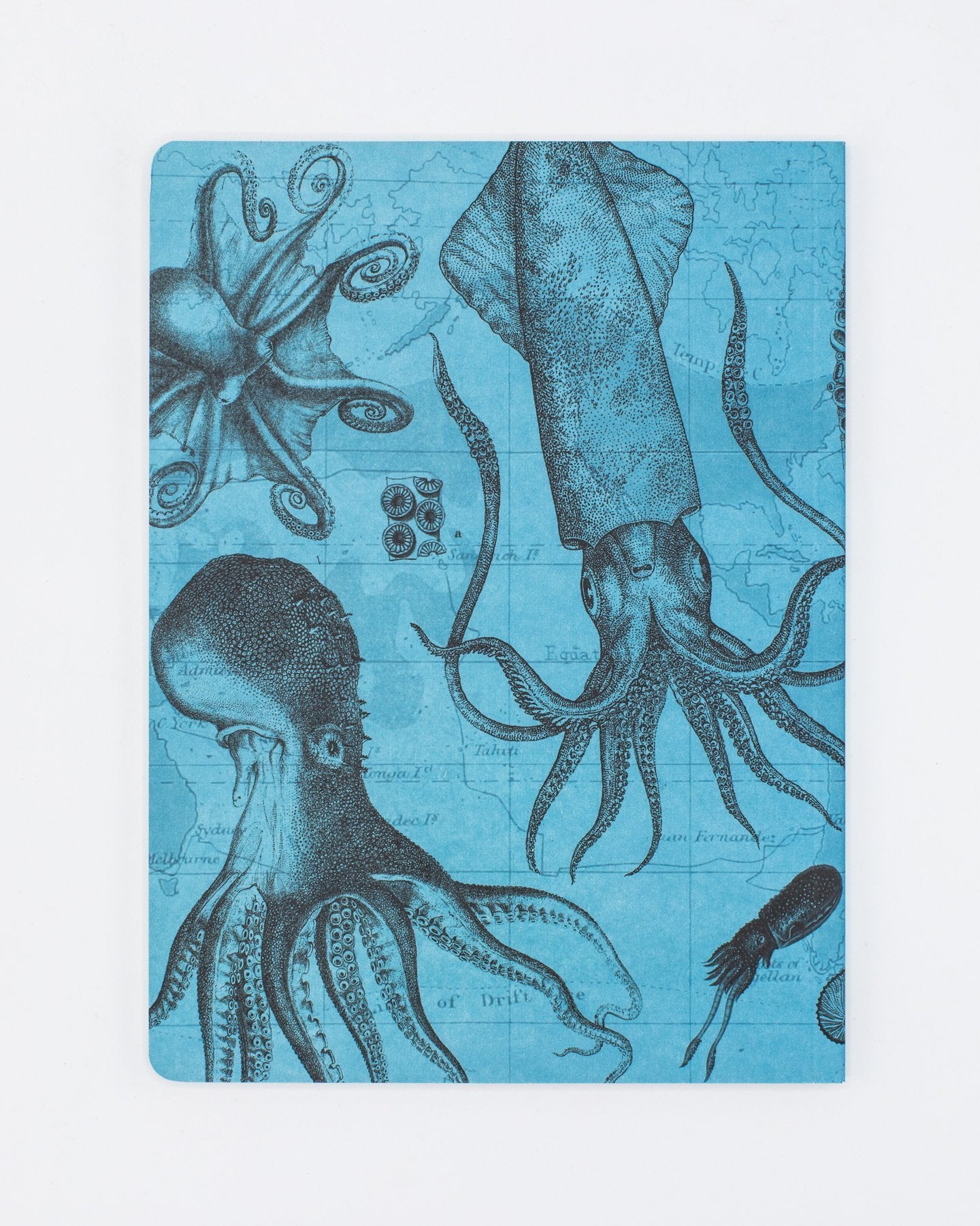 Octopus & Squid Softcover - Lined