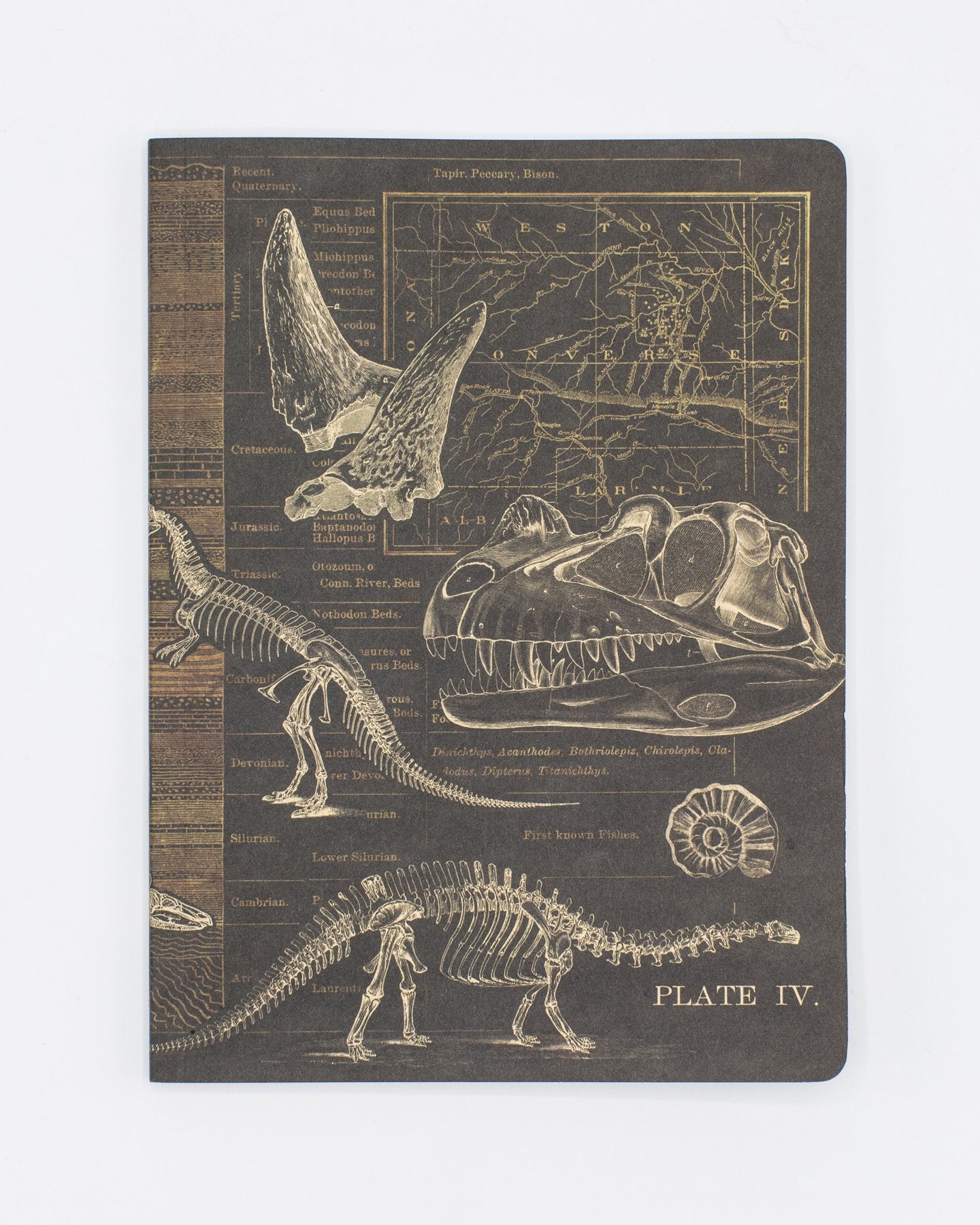 Dinosaur Softcover - Dot Grid