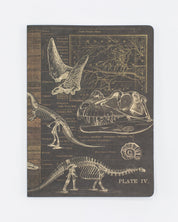 Dinosaur Softcover - Dot Grid