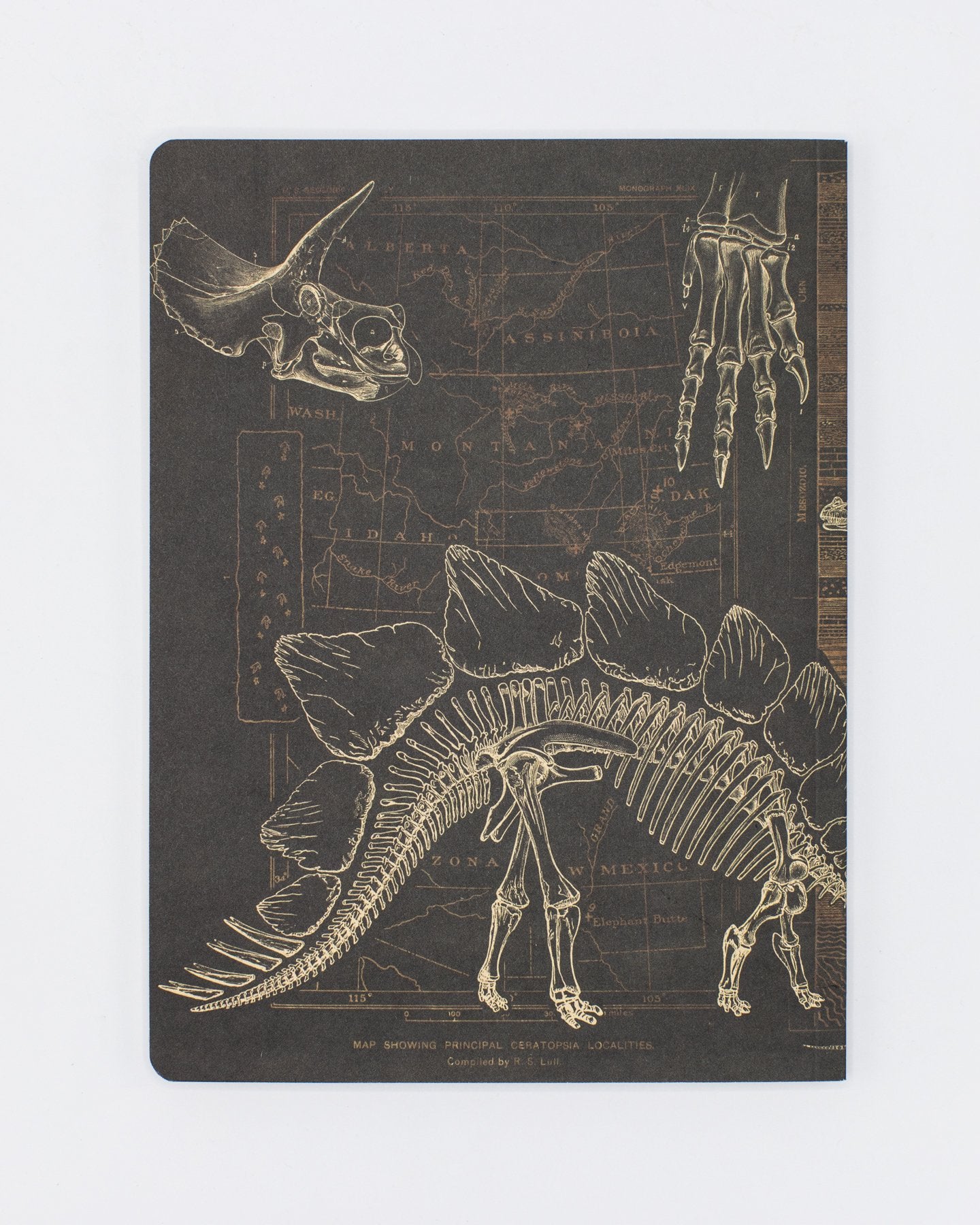 Dinosaur Softcover - Dot Grid