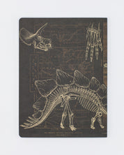 Dinosaur Softcover - Dot Grid