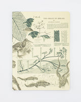 Evolution Softcover - Lined