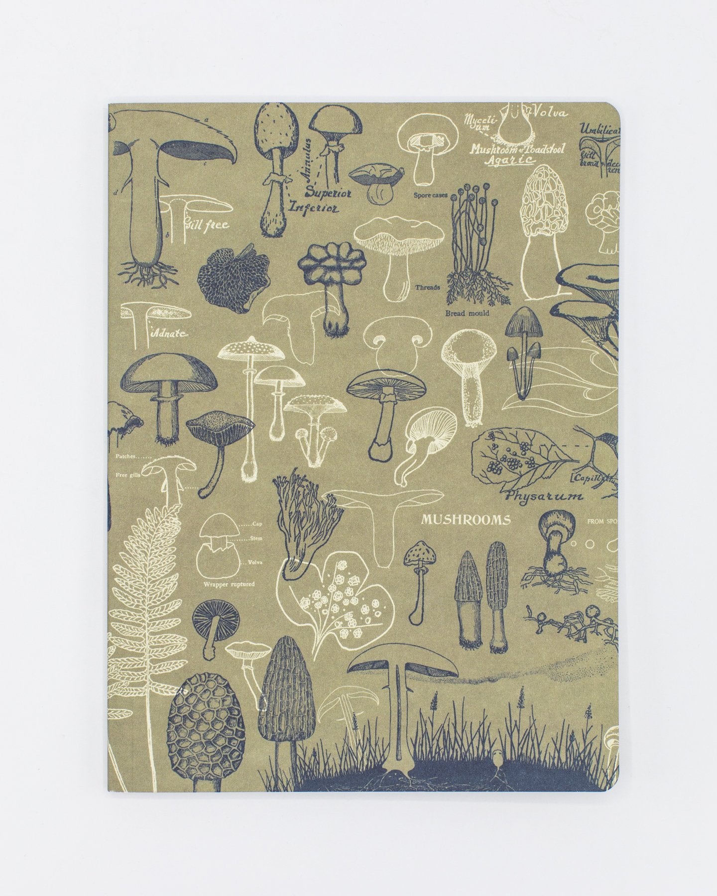 Mushrooms Softcover - Lined
