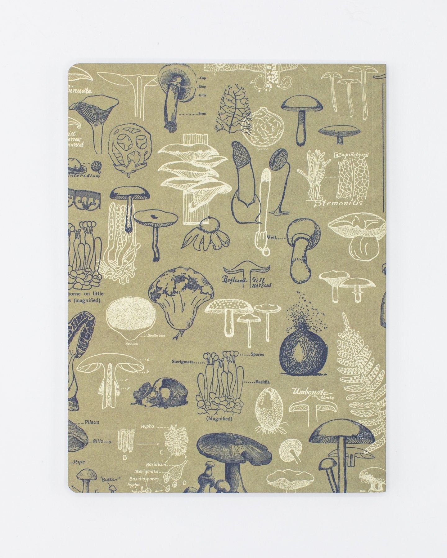 Mushrooms Softcover - Lined
