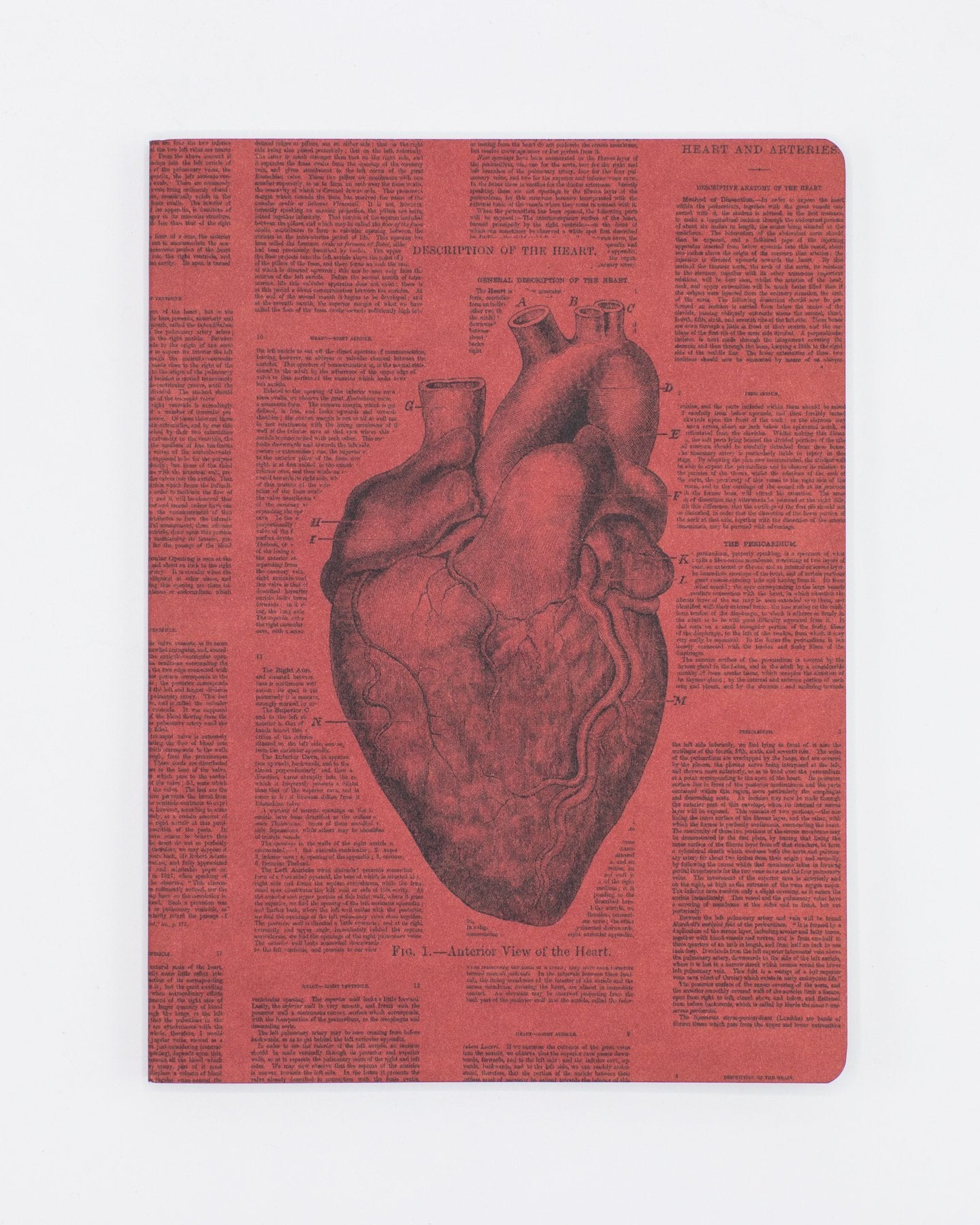 Anatomical Heart Softcover - Lined