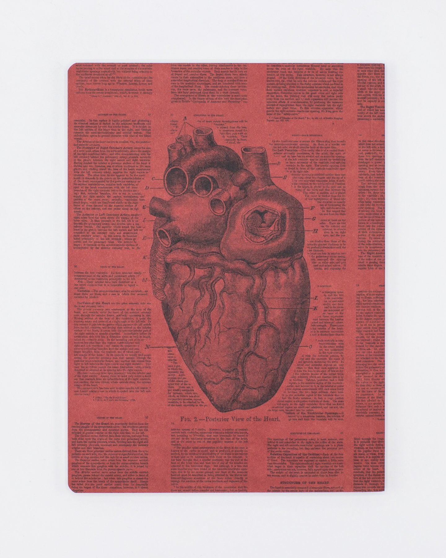 Anatomical Heart Softcover - Lined