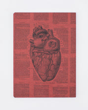 Anatomical Heart Softcover - Lined