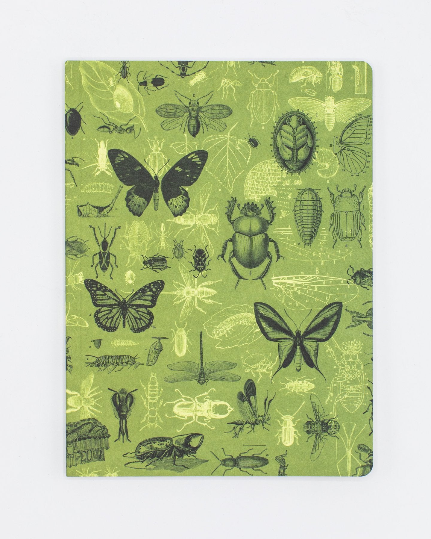 Insects Butterflies & Beetles Softcover - Lined