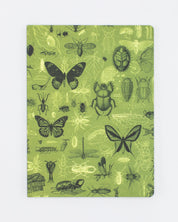 Insects Butterflies & Beetles Softcover - Lined