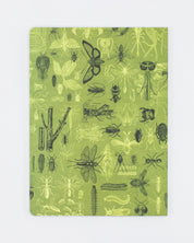 Insects Butterflies & Beetles Softcover - Lined