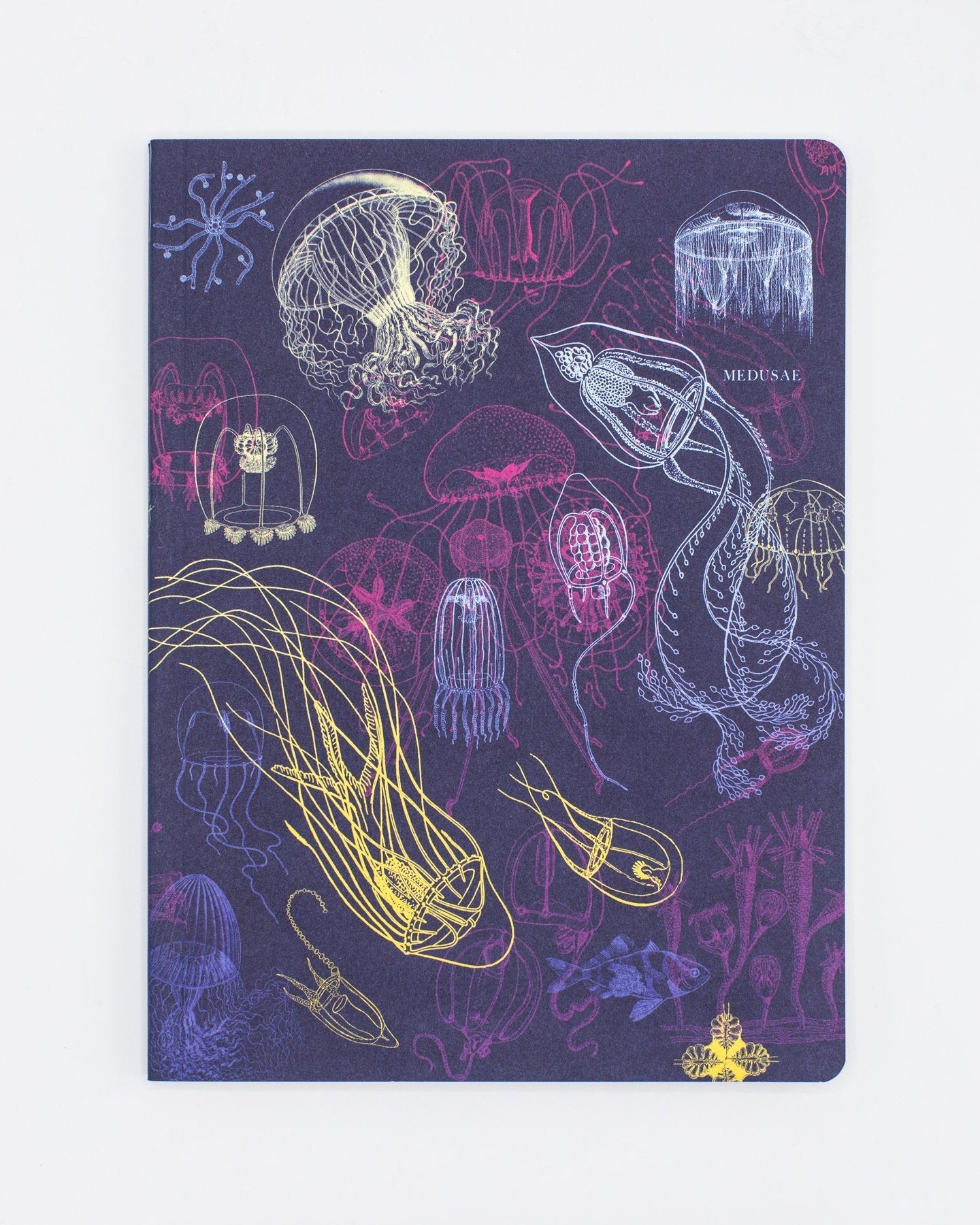 Jellyfish Softcover - Lined