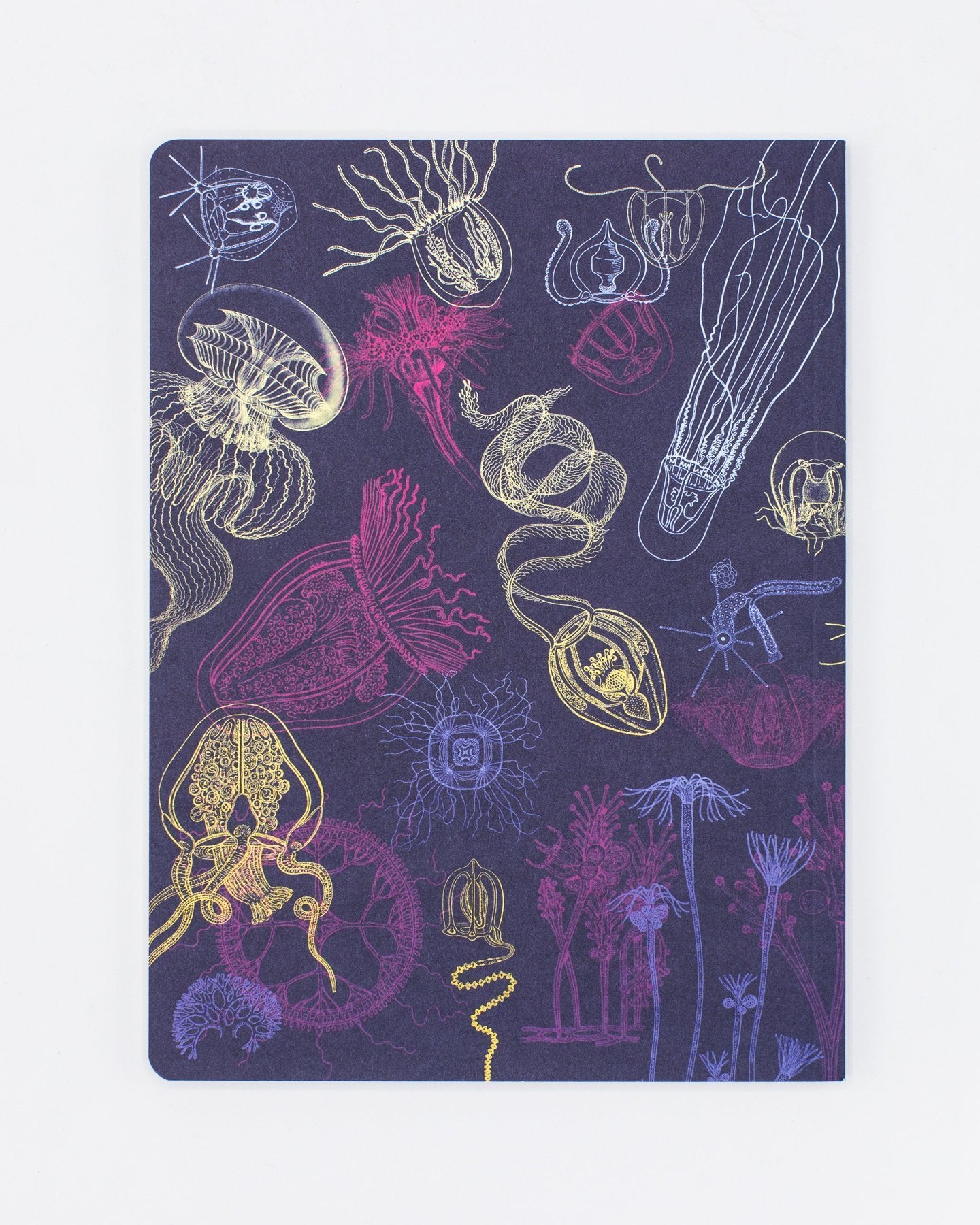 Jellyfish Softcover - Lined