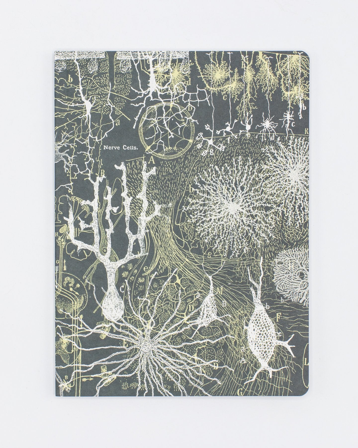 Neurons Softcover - Lined