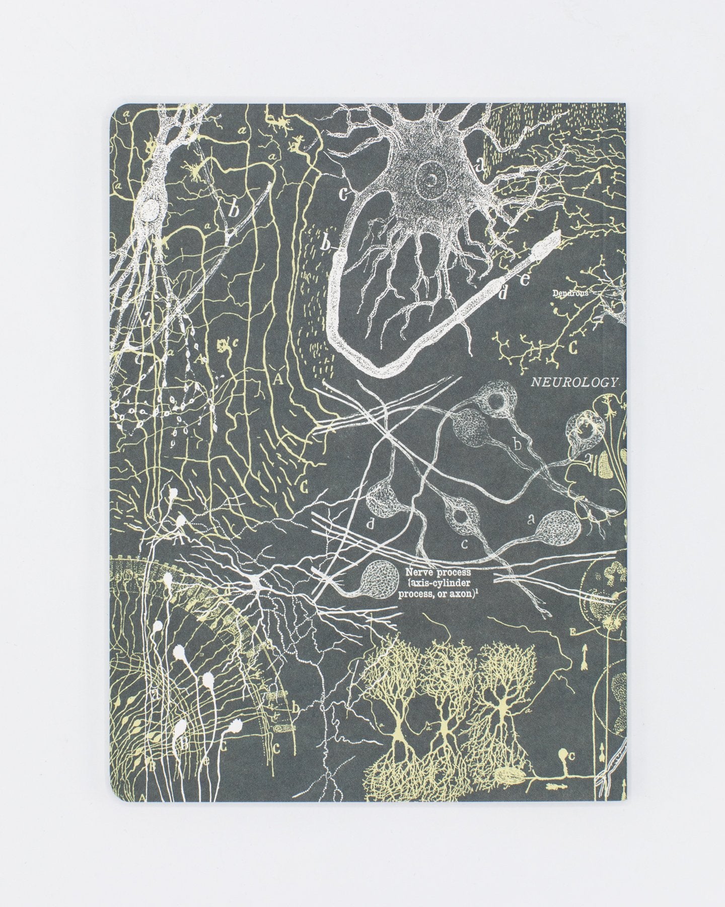 Neurons Softcover - Lined