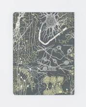 Neurons Softcover - Lined