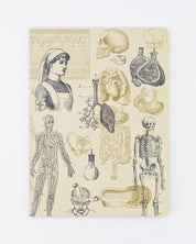 Nursing Softcover - Lined
