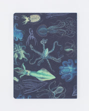 Cephalopods: Octopus & Squid Softcover - Lined