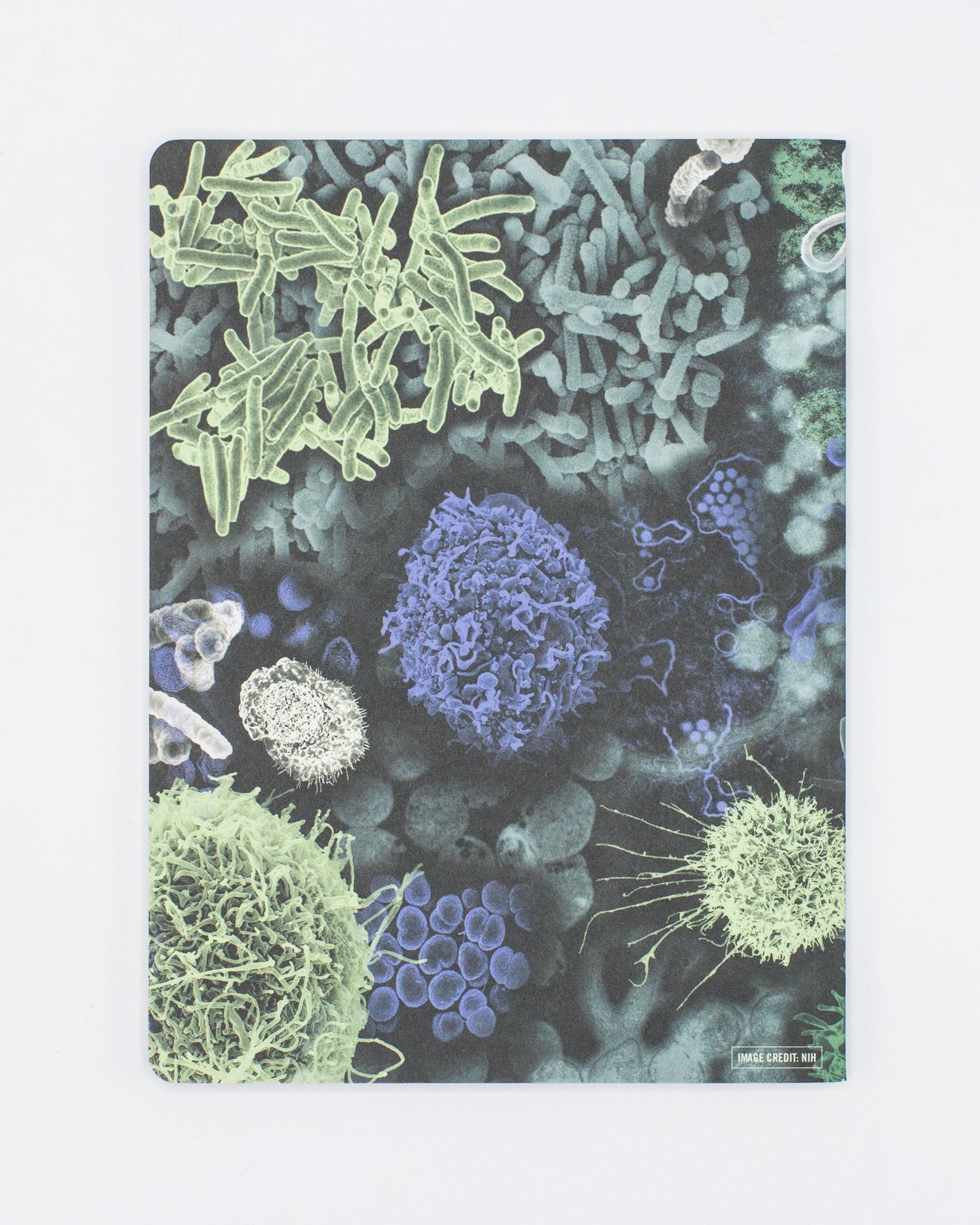 Infectious Disease Softcover - Lined