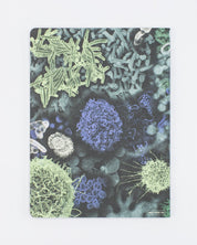 Infectious Disease Softcover - Lined