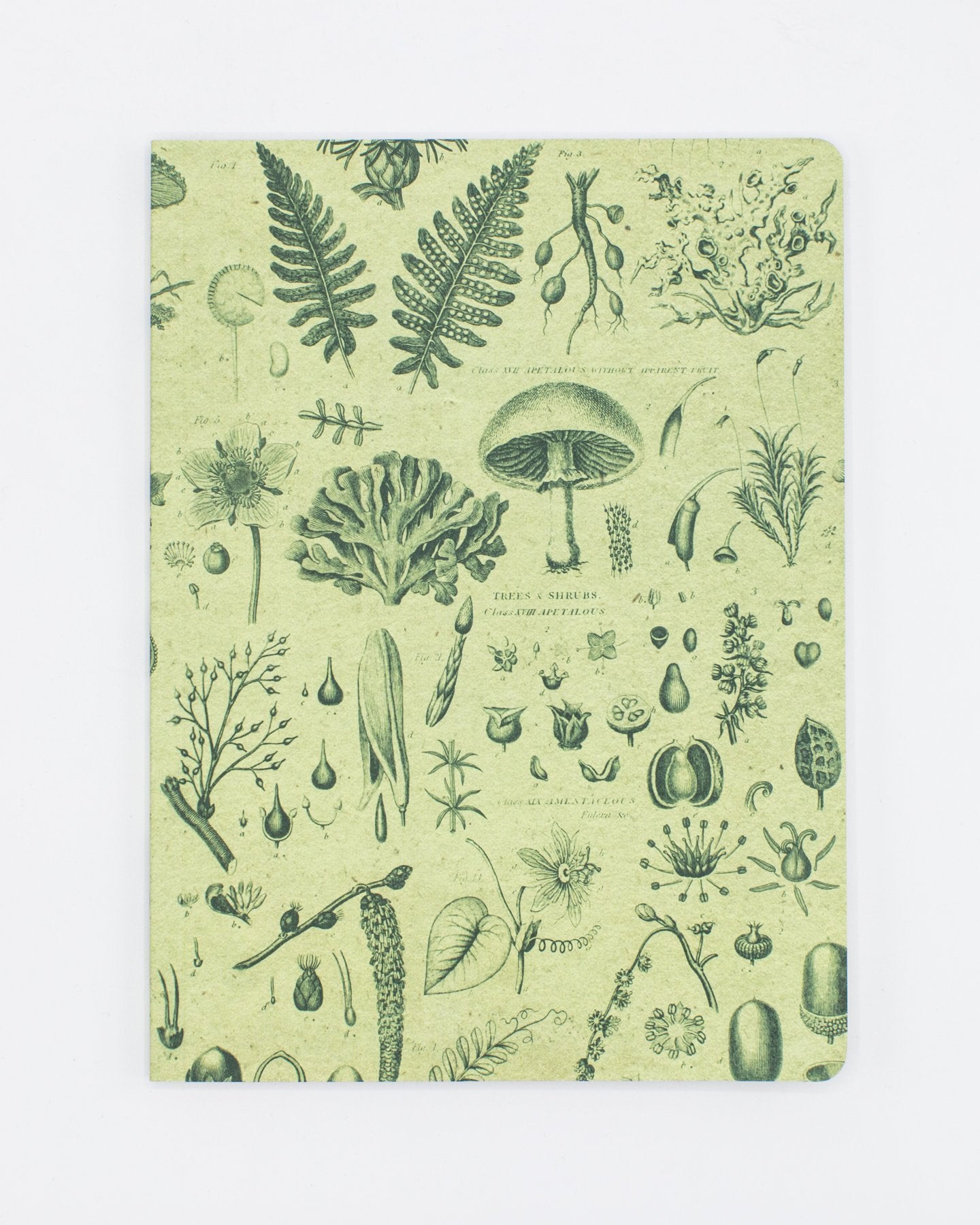 Plants & Fungi Softcover - Dot Grid