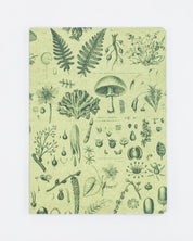 Plants & Fungi Softcover - Dot Grid