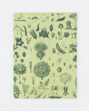 Plants & Fungi Softcover - Dot Grid